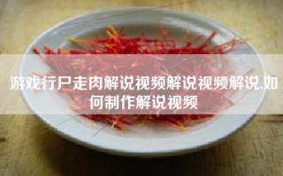 游戏行尸走肉解说视频解说视频解说,如何制作解说视频