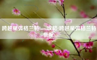 跨越星弧格兰特boss攻略(跨越星弧格兰特低配)