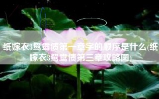 纸嫁衣3鸳鸯债第一章字的顺序是什么(纸嫁衣3鸳鸯债第三章攻略图)