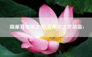 陨星芬布尔之冬(芬布尔之冬装备)