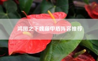 鸿图之下魏藤甲盾阵容推荐