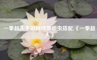 一拳超人手游阿修罗甲虫搭配,《一拳超人》