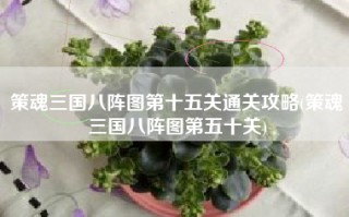 策魂三国八阵图第十五关通关攻略(策魂三国八阵图第五十关)