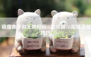 镇魔曲手游无限回廊35层攻略(35层精英怪技巧)