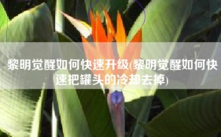 黎明觉醒如何快速升级(黎明觉醒如何快速把罐头的冷却去掉)