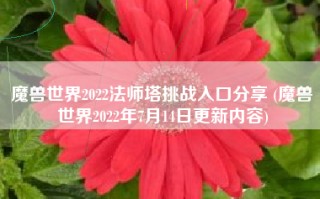 魔兽世界2022法师塔挑战入口分享 (魔兽世界2022年7月14日更新内容)