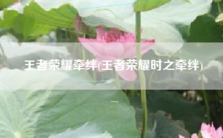 王者荣耀牵绊(王者荣耀时之牵绊)