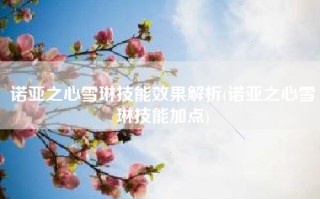 诺亚之心雪琳技能效果解析(诺亚之心雪琳技能加点)