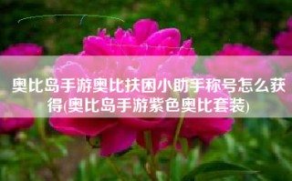 奥比岛手游奥比扶困小助手称号怎么获得(奥比岛手游紫色奥比套装)