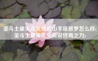 圣斗士星矢正义传说山羊座修罗怎么样(圣斗士星矢正义传说终焉之力)