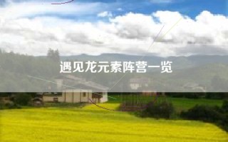 遇见龙元素阵营一览