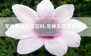 龙神霸业百度百科(龙神至尊百度百科)