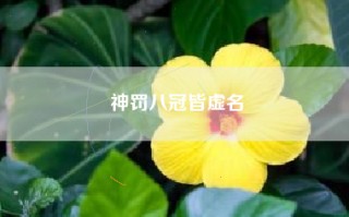 神罚八冠皆虚名