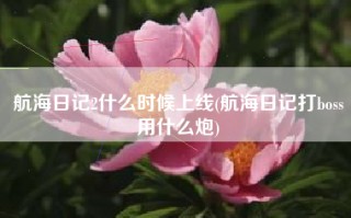 航海日记2什么时候上线(航海日记打boss用什么炮)