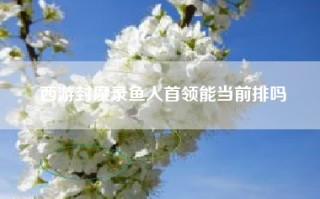 西游封魔录鱼人首领能当前排吗