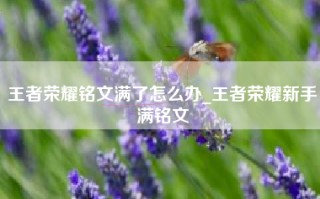 王者荣耀铭文满了怎么办_王者荣耀新手满铭文