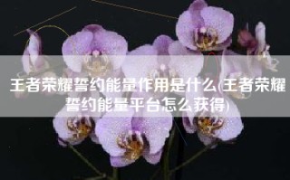 王者荣耀誓约能量作用是什么(王者荣耀誓约能量平台怎么获得)