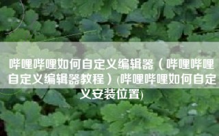 哔哩哔哩如何自定义编辑器（哔哩哔哩自定义编辑器教程）(哔哩哔哩如何自定义安装位置)