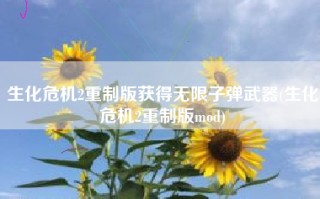 生化危机2重制版获得无限子弹武器(生化危机2重制版mod)