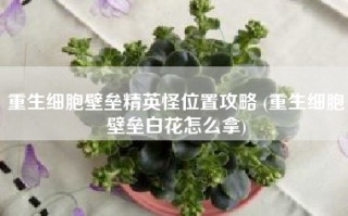 重生细胞壁垒精英怪位置攻略 (重生细胞壁垒白花怎么拿)