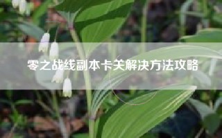 零之战线副本卡关解决方法攻略