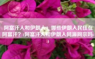 阿富汗人和伊朗人：哪些伊朗人民住在阿富汗？(阿富汗人和伊朗人同源同宗吗-)