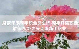魔武无限新手职业怎么选-新手开局职业推荐(火炬之光无限新手职业)