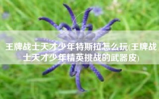 王牌战士天才少年特斯拉怎么玩(王牌战士天才少年精英挑战的武器皮)