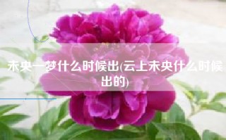 未央一梦什么时候出(云上未央什么时候出的)