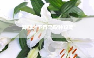 鸿图之下育马取种攻略