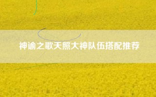 神谕之歌天照大神队伍搭配推荐