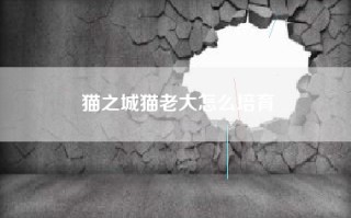猫之城猫老大怎么培育