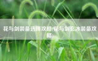 花与剑装备选择攻略(花与剑玄冰装备攻略)