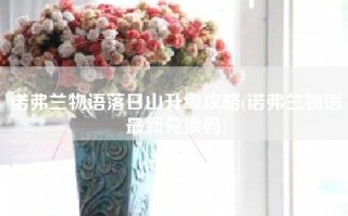 诺弗兰物语落日山升级攻略(诺弗兰物语最新兑换码)