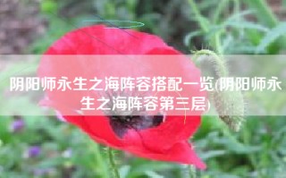 阴阳师永生之海阵容搭配一览(阴阳师永生之海阵容第三层)