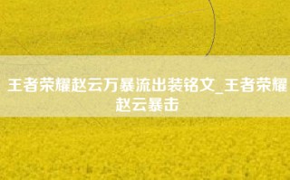 王者荣耀赵云万暴流出装铭文_王者荣耀赵云暴击