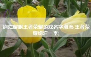 绚烂耀眼王者荣耀游戏名字潮流(王者荣耀绚烂一季)