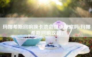 玛娜希斯回响换卡池会继承保底吗(玛娜希斯回响攻略)