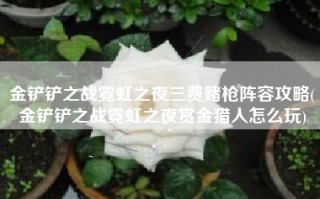 金铲铲之战霓虹之夜三费赌枪阵容攻略(金铲铲之战霓虹之夜赏金猎人怎么玩)