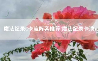 魔法纪录C卡流阵容推荐(魔法纪录卡池)