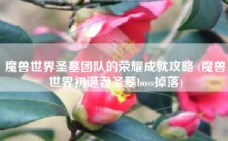 魔兽世界圣墓团队的荣耀成就攻略 (魔兽世界初诞者圣墓boss掉落)