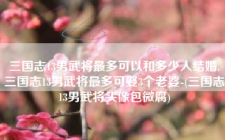 三国志13男武将最多可以和多少人结婚,三国志13男武将最多可娶3个老婆-(三国志13男武将头像包微腐)