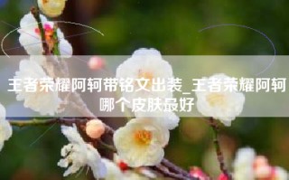 王者荣耀阿轲带铭文出装_王者荣耀阿轲哪个皮肤最好