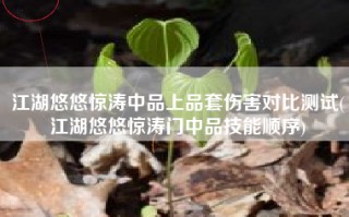 江湖悠悠惊涛中品上品套伤害对比测试(江湖悠悠惊涛门中品技能顺序)