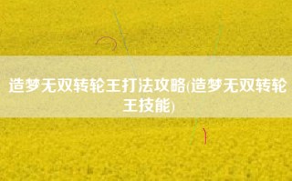 造梦无双转轮王打法攻略(造梦无双转轮王技能)