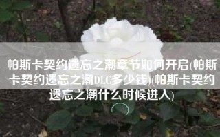 帕斯卡契约遗忘之潮章节如何开启(帕斯卡契约遗忘之潮DLC多少钱)(帕斯卡契约遗忘之潮什么时候进入)