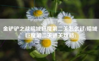 金铲铲之战暗域巨魔第二关怎么过(暗域巨魔第二关通关攻略)