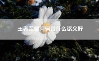 王者荣耀阿轲带什么铭文好