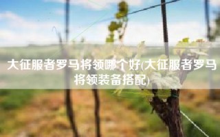 大征服者罗马将领哪个好(大征服者罗马将领装备搭配)