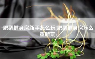 肥鹅健身房新手怎么玩(肥鹅健身房怎么重新玩)